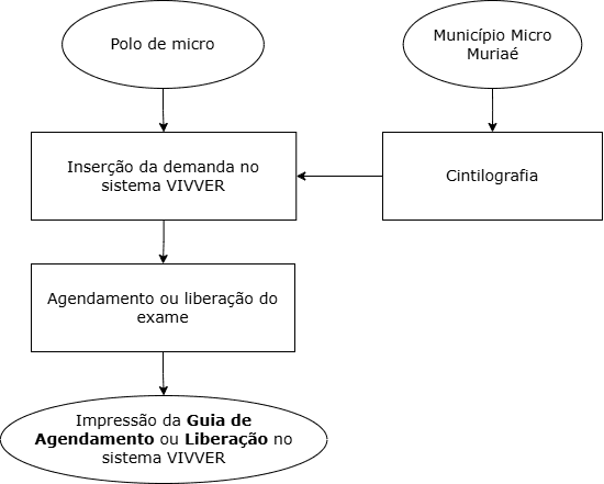Fluxo Assistencial Cintilografia